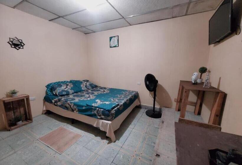 تختخواب در اتاق مشترک, Pool House Hostel