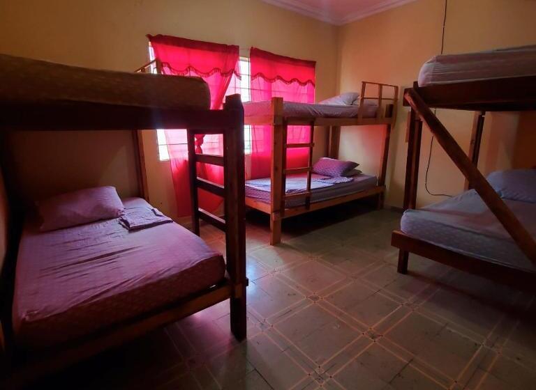 تختخواب در اتاق مشترک, Pool House Hostel