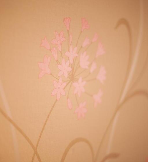 غرفة سوبيريور, Hollybush Inn