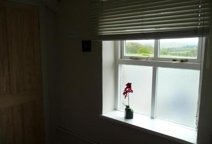 غرفة قياسية فردية, Hollybush Inn