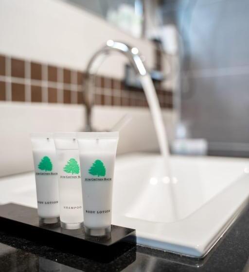 اتاق لوکس سه تخته, Zum Grunen Baum