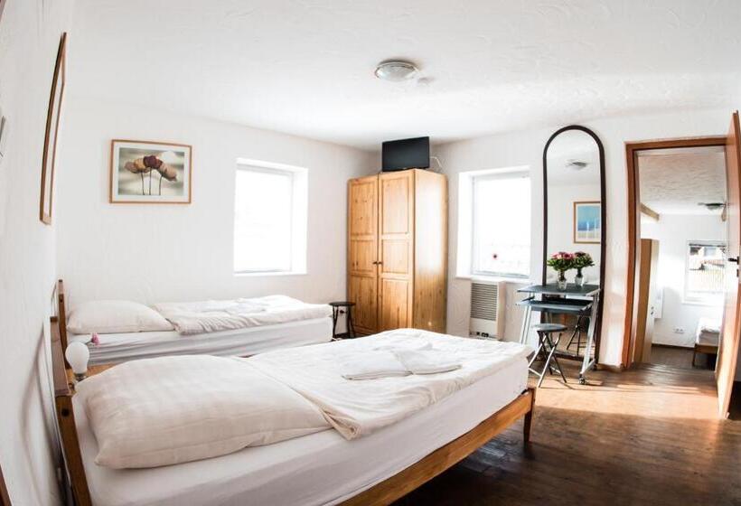 Семейный Номер, Bauer Schmidt Weilerbach Bauer`s Budget