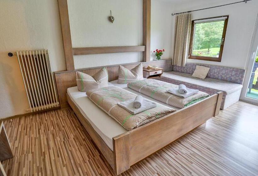 Номер Стандарт с Балконом, Pension Rauschberghof