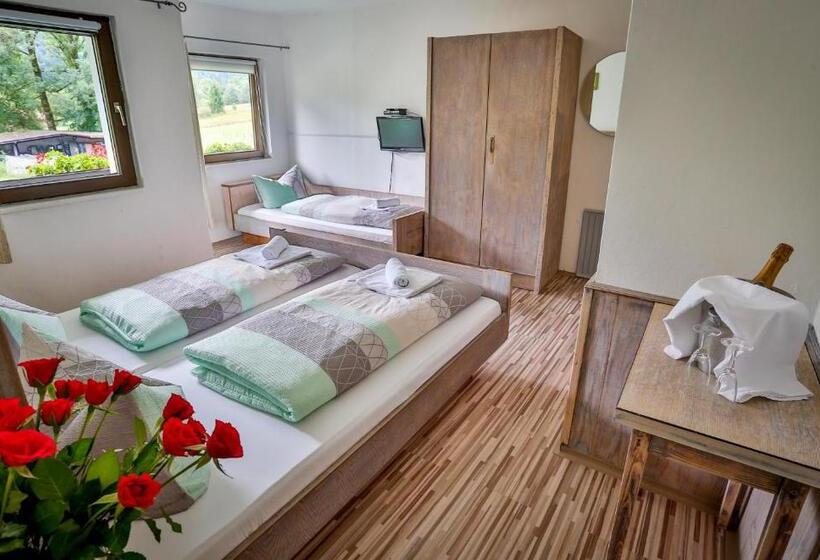 Номер Стандарт с Балконом, Pension Rauschberghof