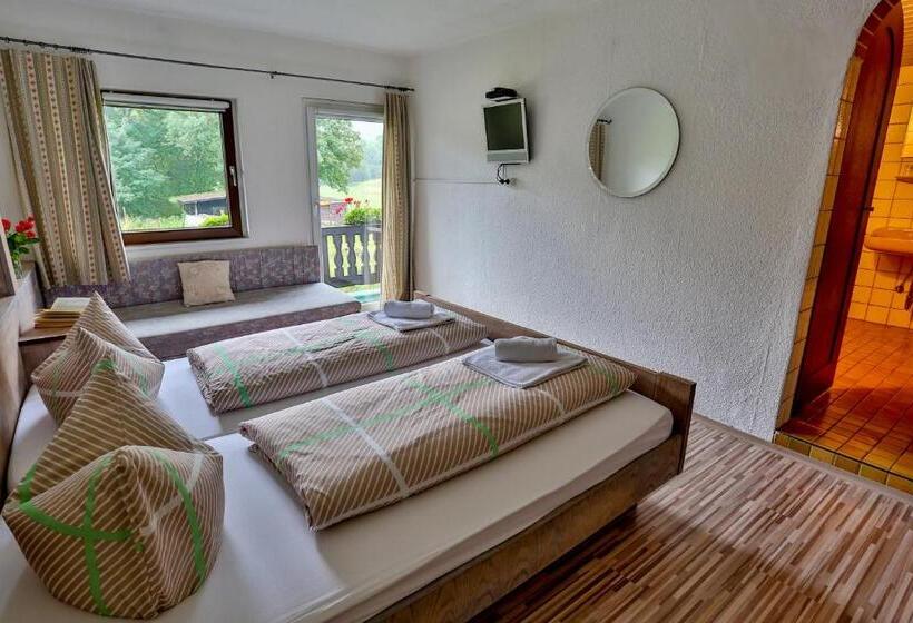 Номер Стандарт с Балконом, Pension Rauschberghof