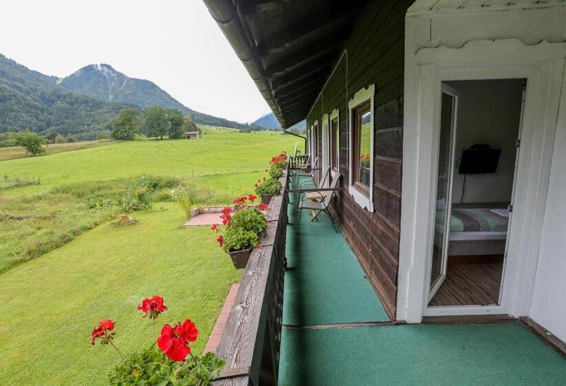 Номер Стандарт с Балконом, Pension Rauschberghof