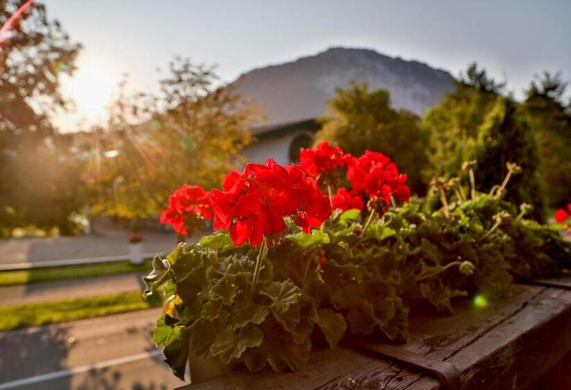 Номер Стандарт с Балконом, Pension Rauschberghof