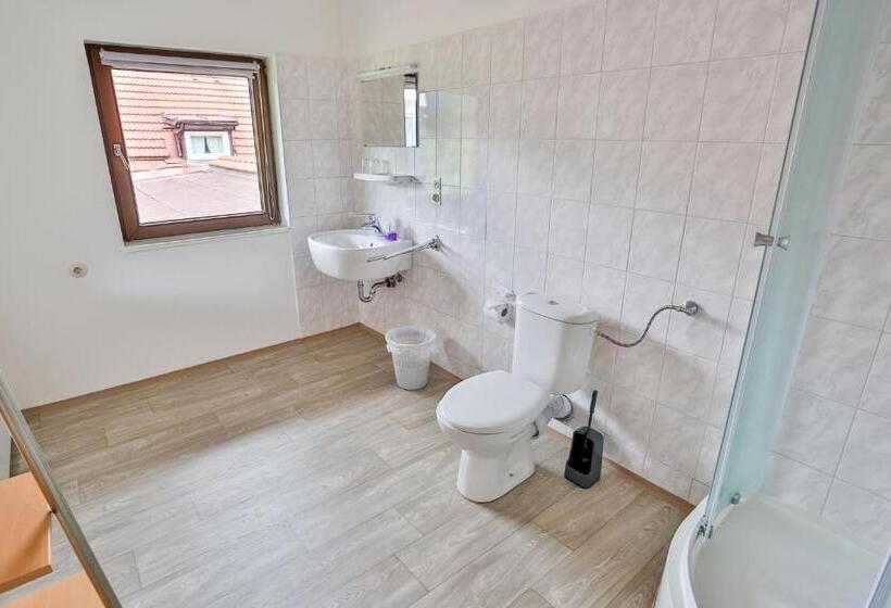 Номер Стандарт Вид на Горы, Pension Rauschberghof