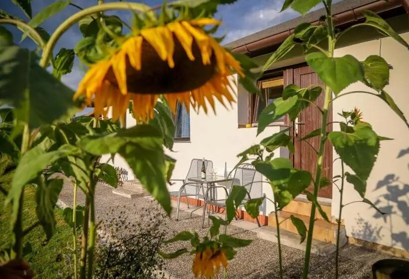 スタンダードバンガロー, Pension Rauschberghof