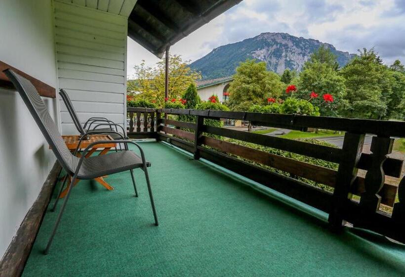 Номер Стандарт с Балконом, Pension Rauschberghof