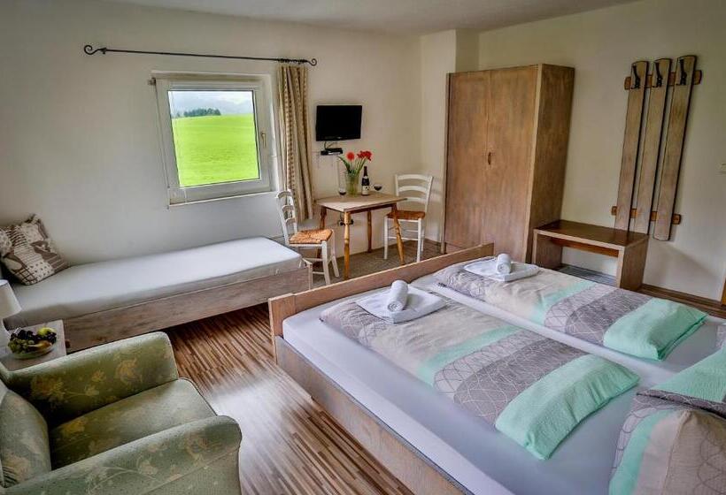 Номер Стандарт с Балконом, Pension Rauschberghof