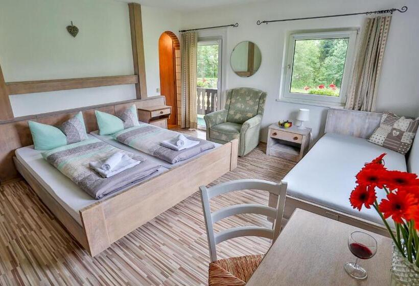 Номер Стандарт с Балконом, Pension Rauschberghof