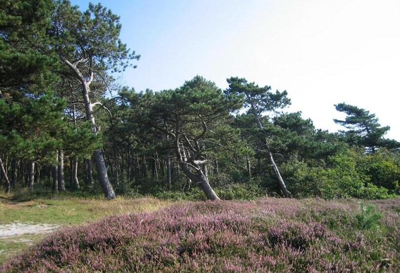 اتاق استاندارد, Haus Witten Höhen