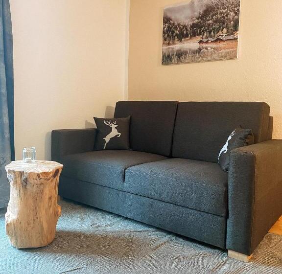 شقة غرفة واحدة, Alpenappartements Schwalbennestl