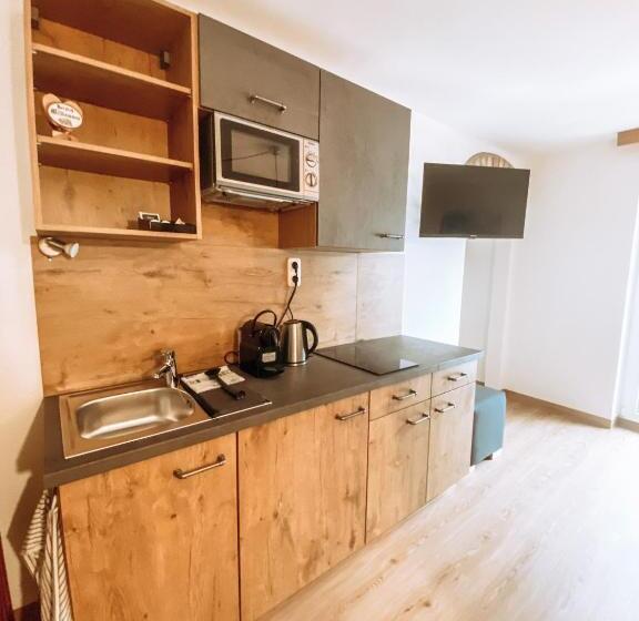 شقة غرفة واحدة, Alpenappartements Schwalbennestl