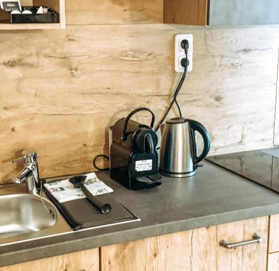Апартаменты 1 Спальня, Alpenappartements Schwalbennestl