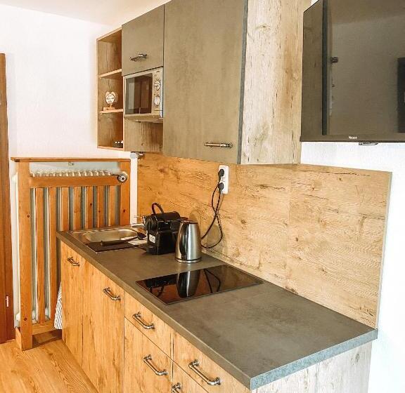 شقة غرفة واحدة, Alpenappartements Schwalbennestl