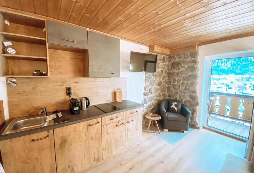 شقة غرفتين, Alpenappartements Schwalbennestl
