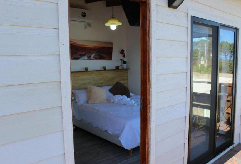 חדר סטנדרט, Imaginate