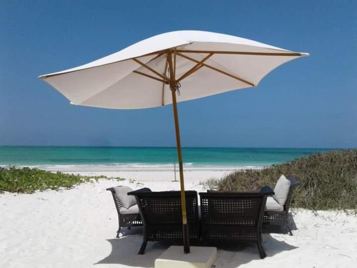 غرفة قياسية فردية, New Iddi Villa