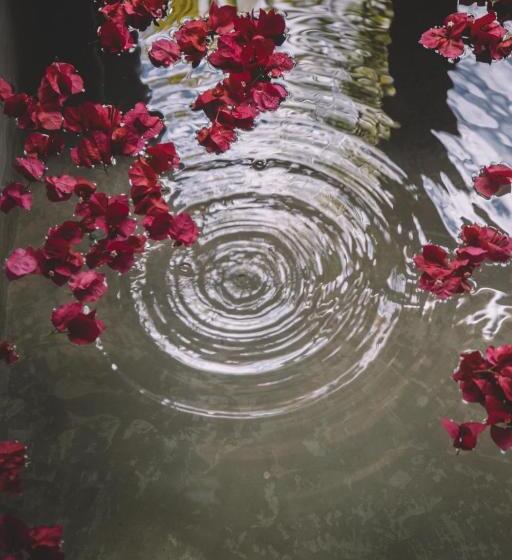 豪华房间, Villa Fulo