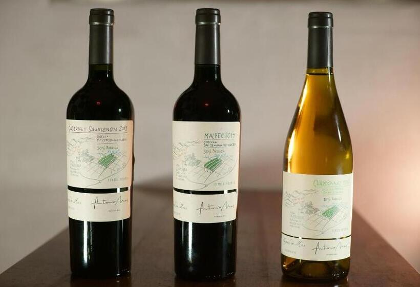 آپارتمان 1 خوابه با چشمانداز دریا, Cepas De Mar Resort & Wine