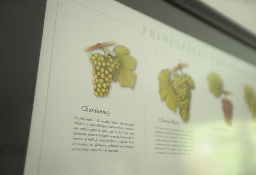 آپارتمان دوبلکس 1 خوابه, Cepas De Mar Resort & Wine