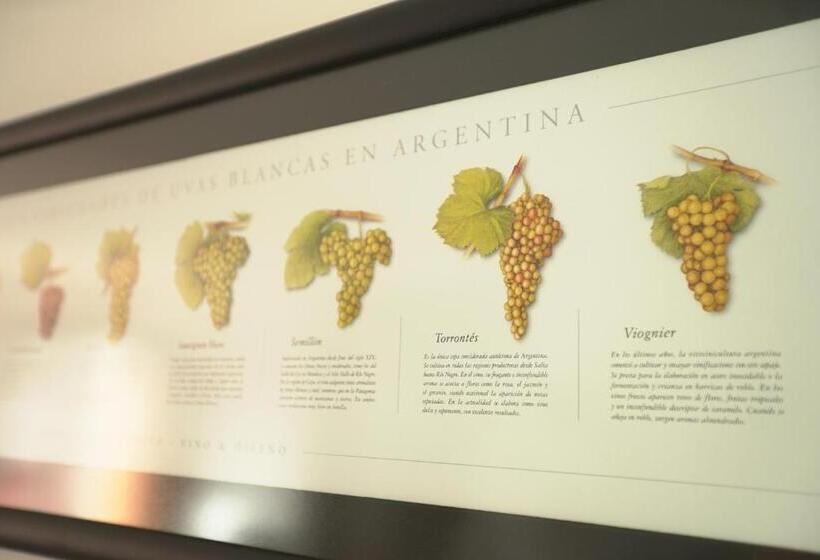 آپارتمان دوبلکس 1 خوابه, Cepas De Mar Resort & Wine