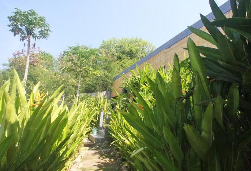 غرفة سوبيريور, Manta Manta Guesthouse