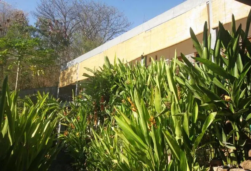 اتاق سوپریور سه تخته, Manta Manta Guesthouse