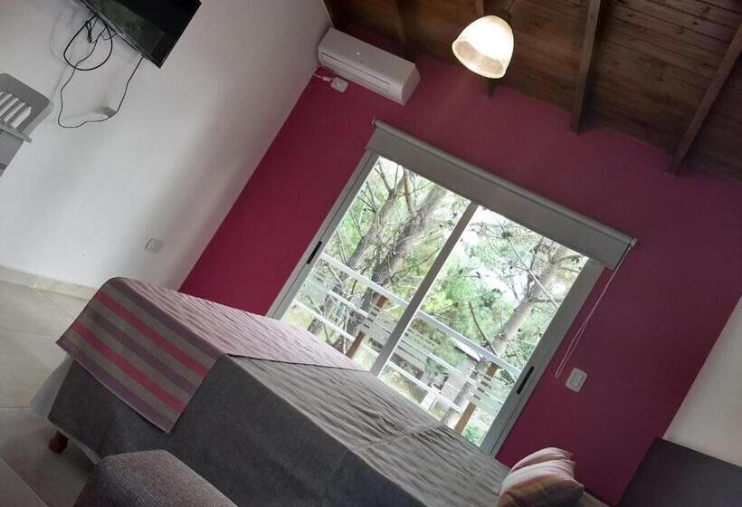 低层单卧公寓, Apart Del Este