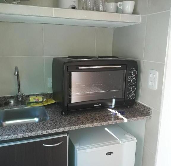 低层单卧公寓, Apart Del Este