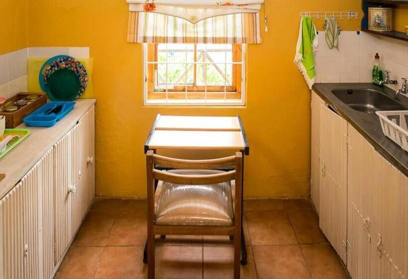 חדר קלאסי, Oude Pastorie