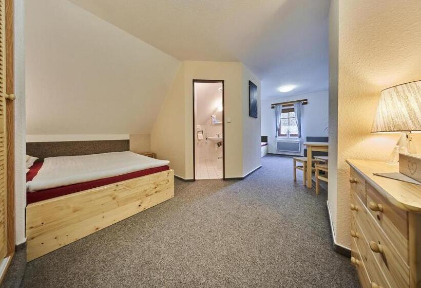 חדר סטנדרט לארבעה, Penzion čtyřlístek