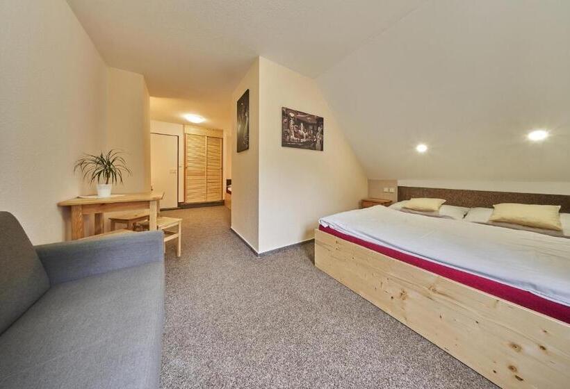 חדר סטנדרט לארבעה, Penzion čtyřlístek