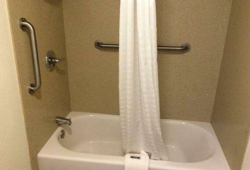 스탠다드 룸 킹사이즈 침대, Timberline Motel