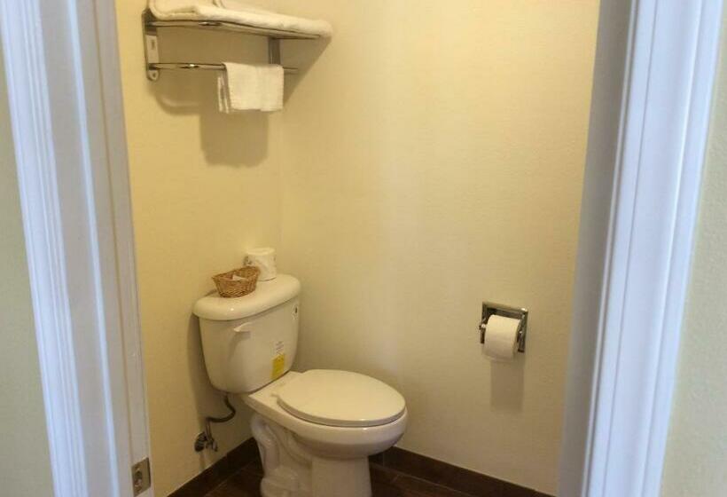 스탠다드 룸 킹사이즈 침대, Timberline Motel