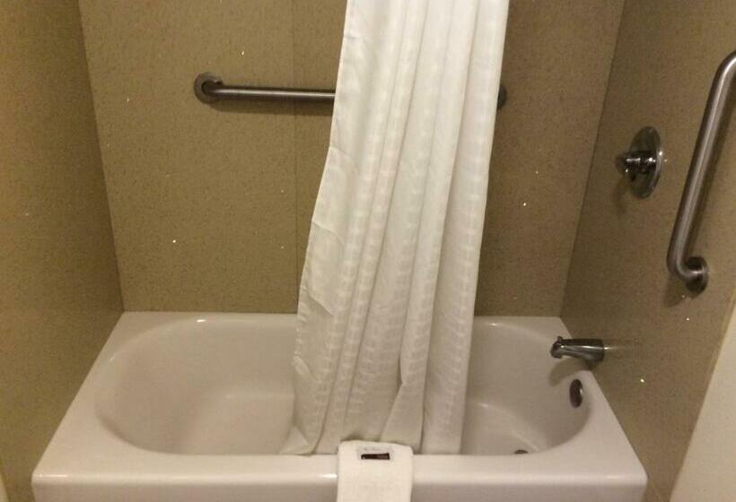 스탠다드 룸 킹사이즈 침대, Timberline Motel