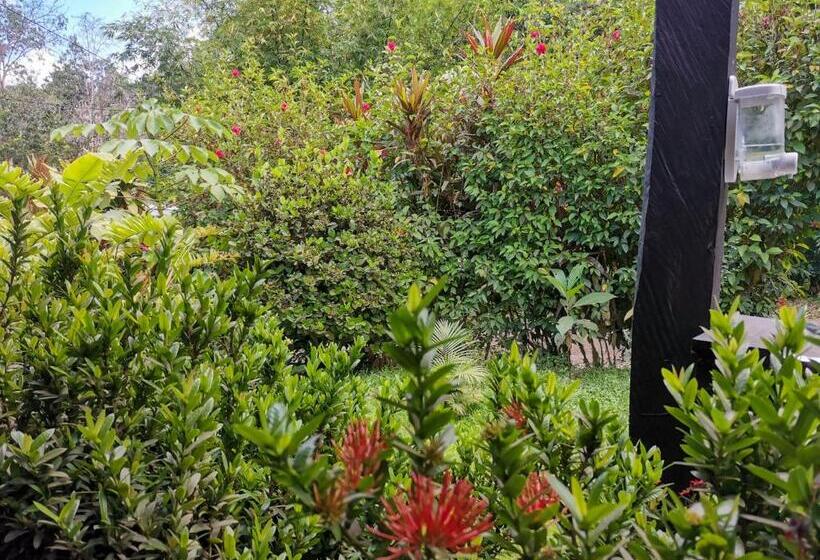 اتاق خانوادگی با چشمانداز باغ, Casita Happy Feet And Tours Corcovado