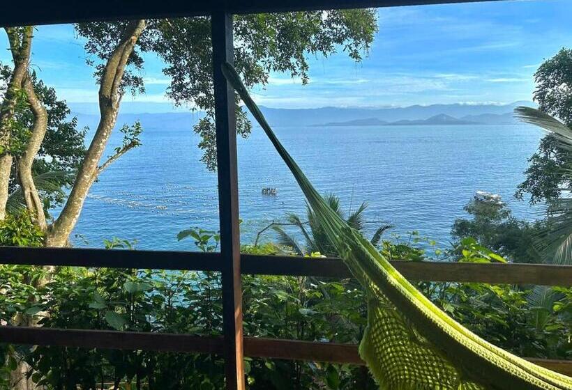 디럭스 방갈로, Saracura