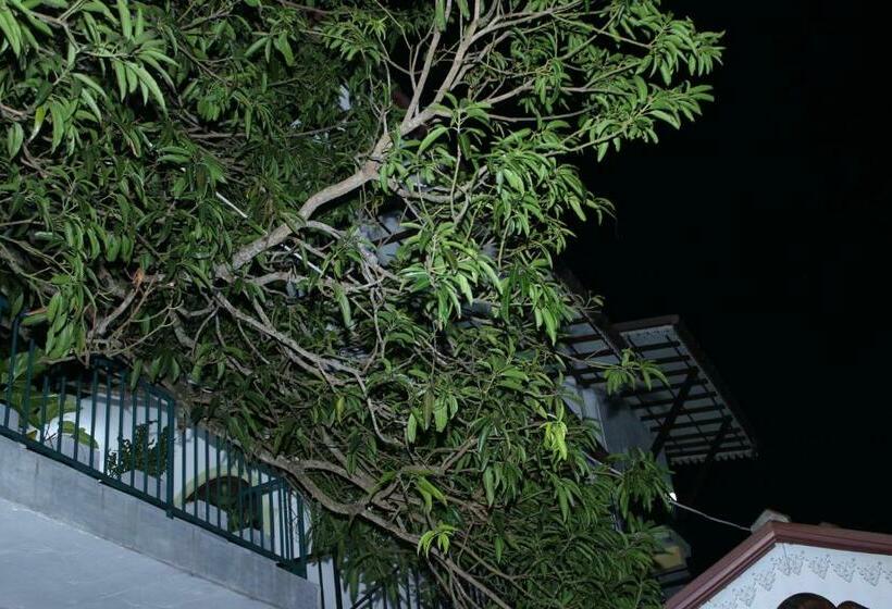 Deluxe-huone, Villa Mango Tree