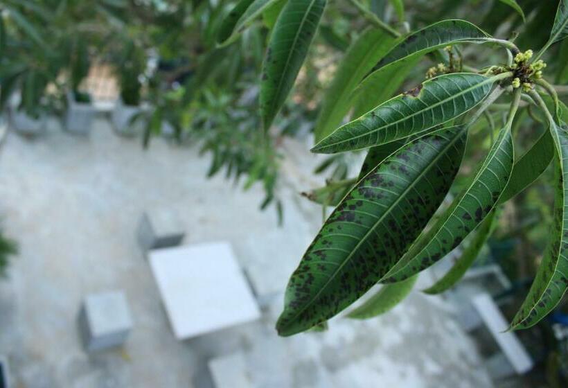 Deluxe-huone, Villa Mango Tree