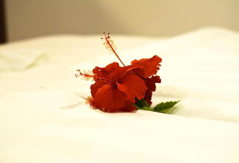 Pokój Rodzinny, Noomuraka Inn