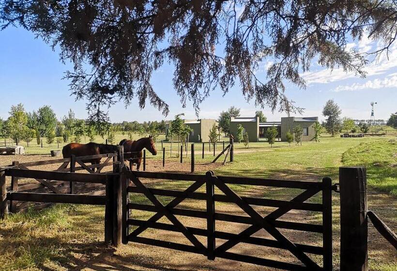 جناح مطلّ علي الحديقة, Hostel De Campo La Providencia