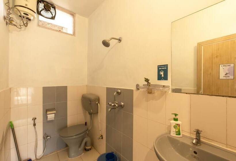 سرير فى غرفة مشتركه, Zostel Mukteshwar