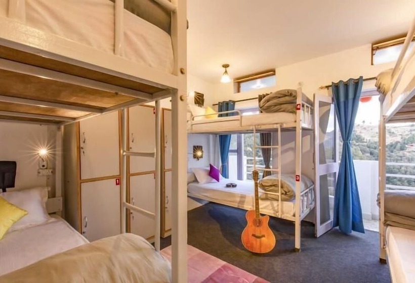 سرير فى غرفة مشتركه, Zostel Mukteshwar