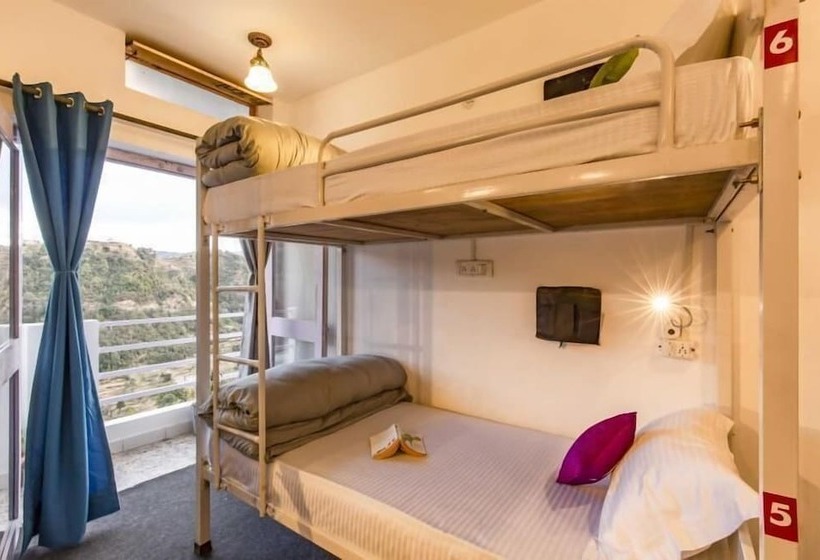 سرير فى غرفة مشتركه, Zostel Mukteshwar