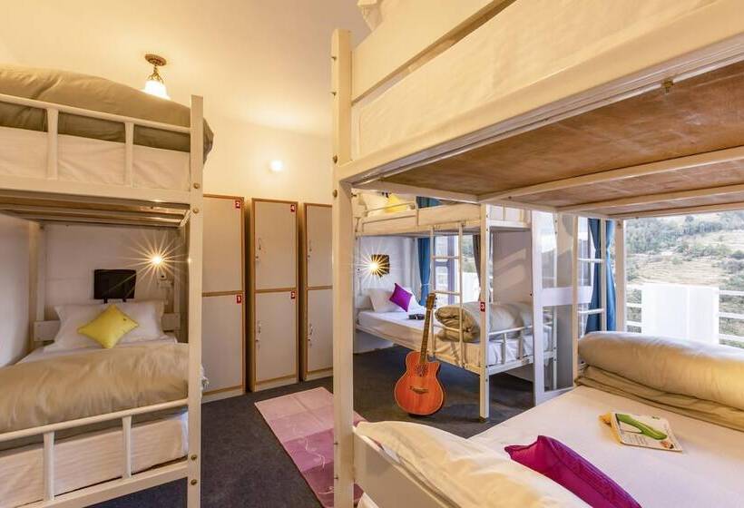 سرير فى غرفة مشتركه, Zostel Mukteshwar