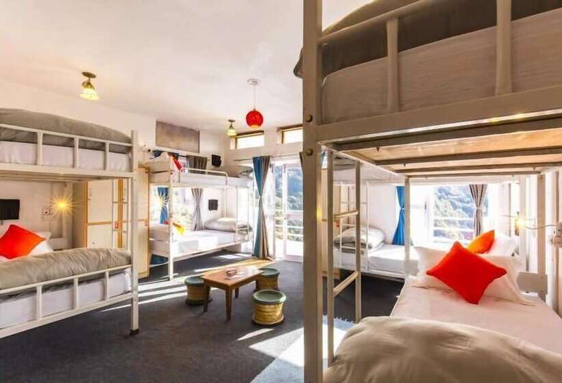 سرير فى غرفة مشتركه, Zostel Mukteshwar