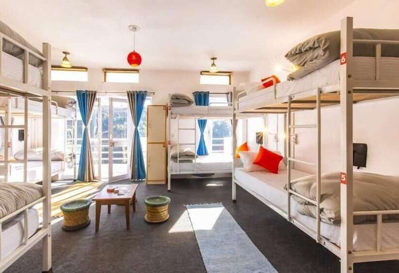 سرير فى غرفة مشتركه, Zostel Mukteshwar